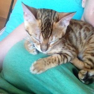 Meet your Posher, Christina